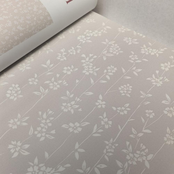 Andrea Rossi Berggi 54451-3