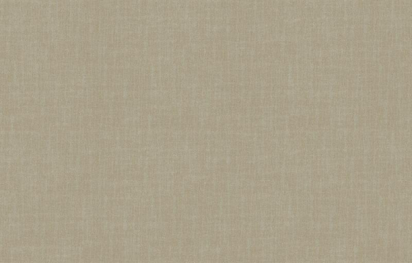 Loymina Shade SD2 005_2