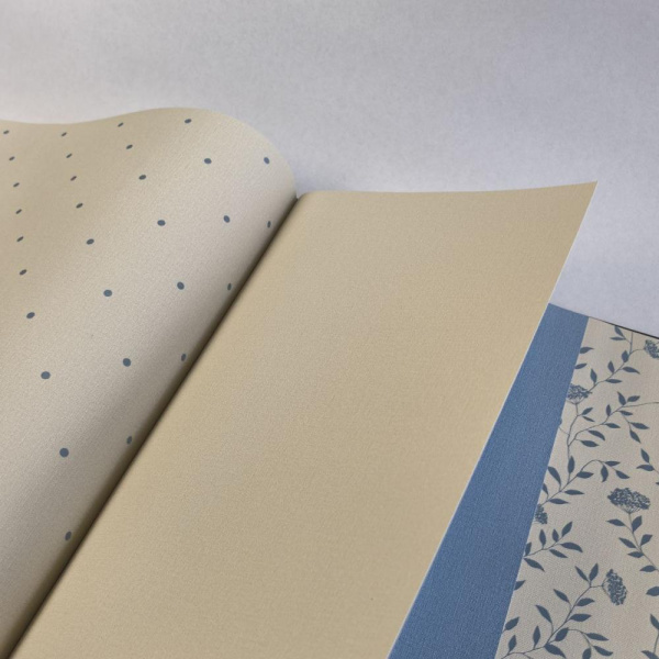 Andrea Rossi Spectrum Box 54455-18